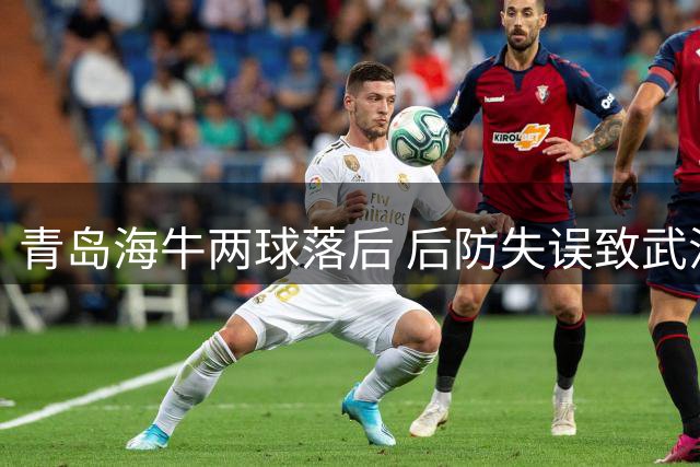 青岛海牛两球落后 后防失误致武汉三镇再下一城